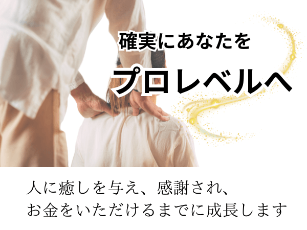 プロレベルへ成長します