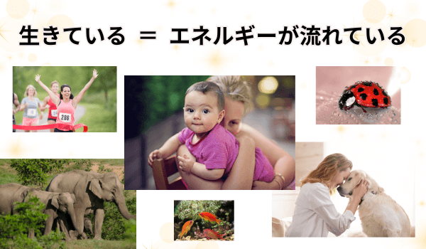 生きている＝エネルギーが流れている